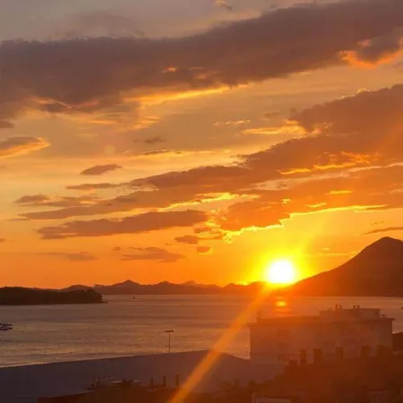 Tayra * Dubrovnik